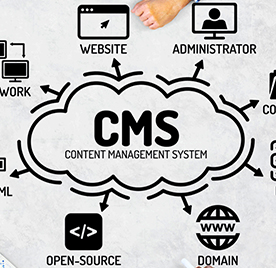 CMS Development